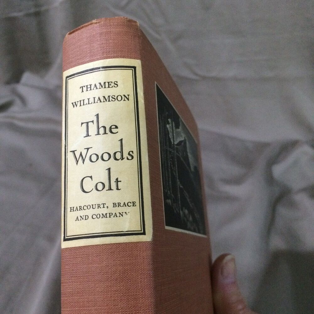 The Woods Colt by Thames Williamson 1933 First Edition Harcourt Brace No DJ